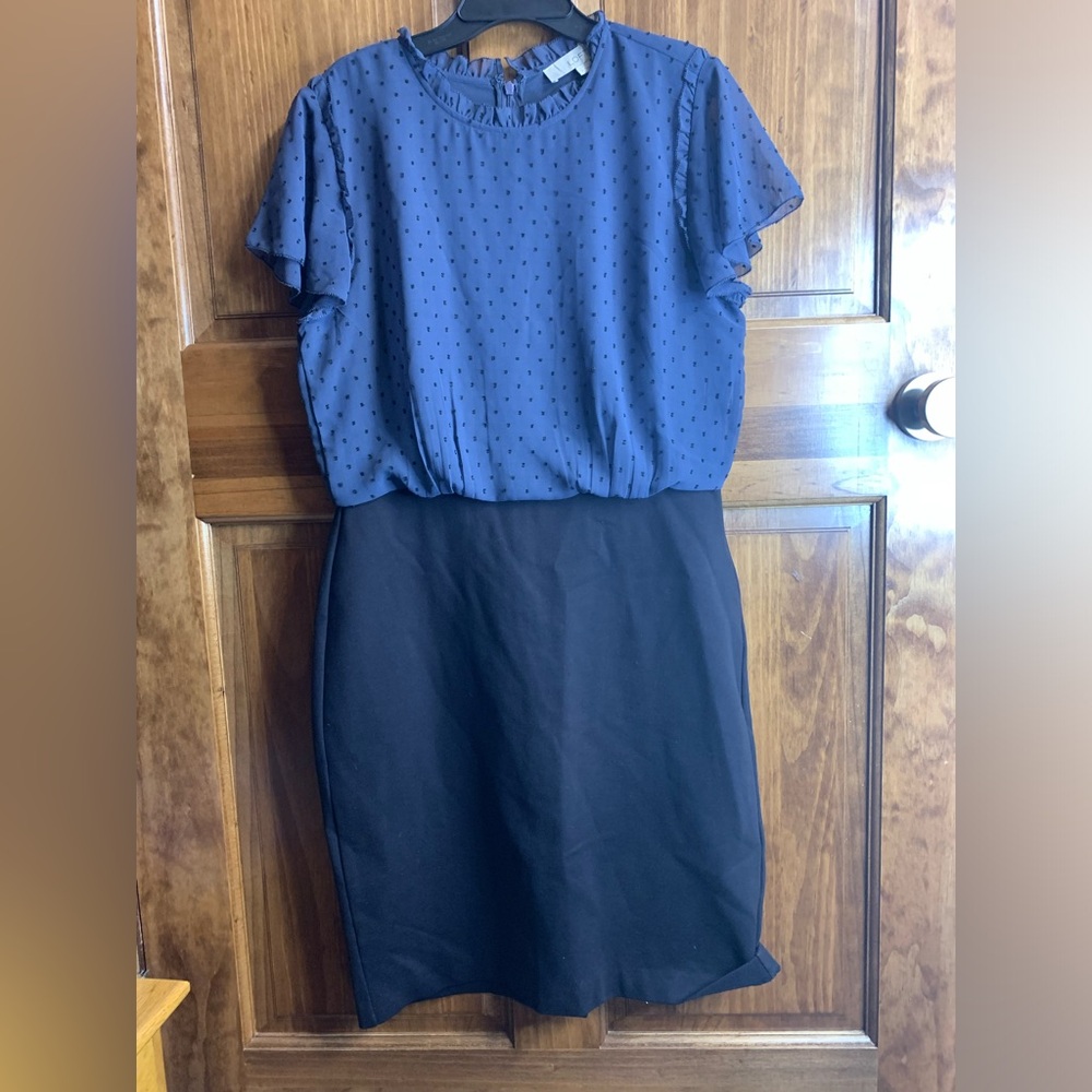 Women’s LOFT size 8 blue/black dots business casual knee length dress